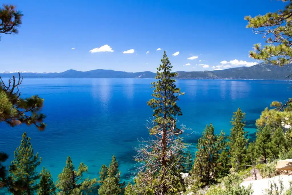 A clear blue lake surrounded by green pine trees and mountains under a bright blue sky with a few scattered clouds.