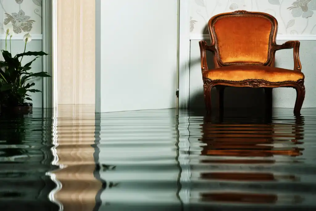 An ornate orange armchair and a potted plant sit in a room partially flooded with water, reaching halfway up the chair legs. The door is open, and wallpaper and paneling are visible on the walls.