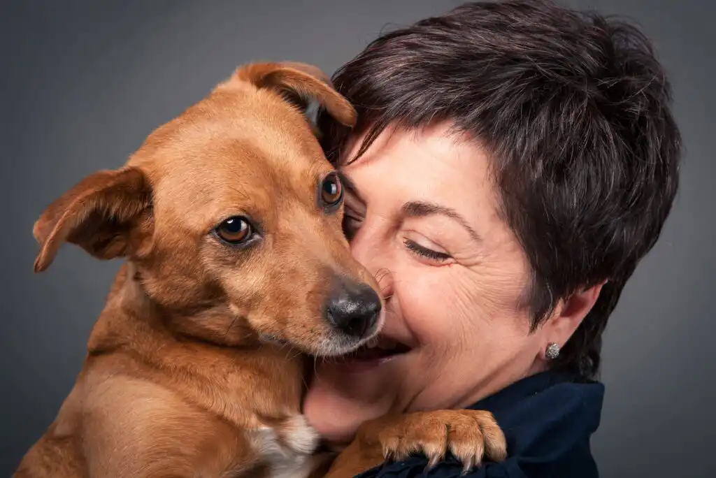 Dog Adoption Process & Costs – 3 Things to Consider