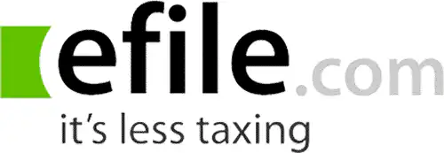 Logo for efile.com. The word efile appears in bold black and light gray letters, with a green square on the left. Below, the tagline reads, it’s less taxing.