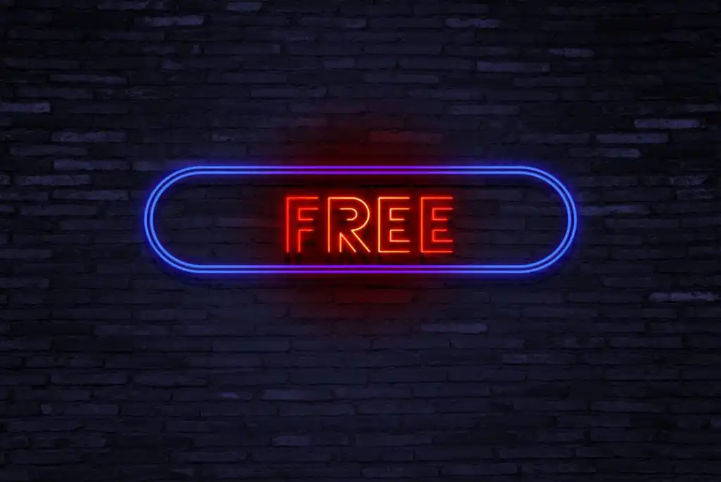 A neon sign with the word FREE in red letters, outlined by a blue neon oval, is mounted on a dark brick wall.