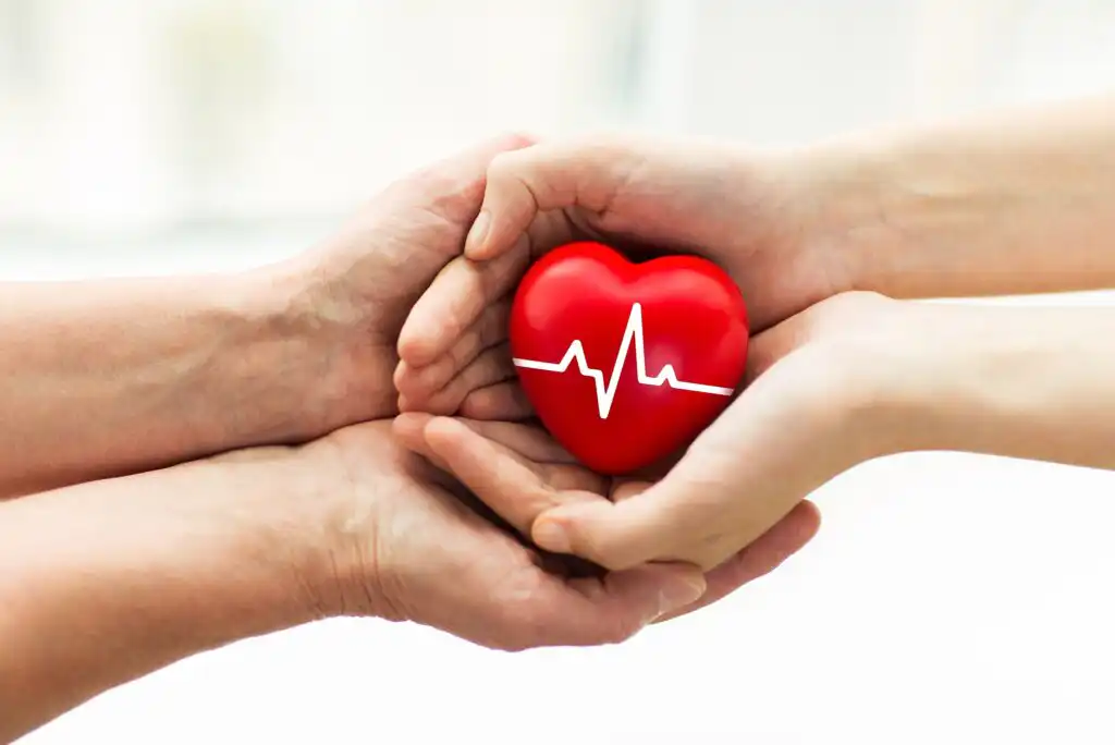 Two pairs of hands gently hold a red heart-shaped object with a white electrocardiogram line across it, symbolizing care, support, and heart health.