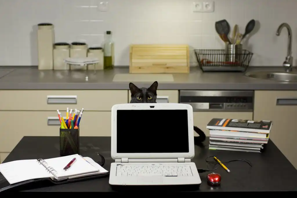 A black cat sits behind a laptop on a kitchen table surrounded by notebooks, pens, a pencil holder, a red mouse, glasses, and stacked books, with a kitchen counter visible in the background.