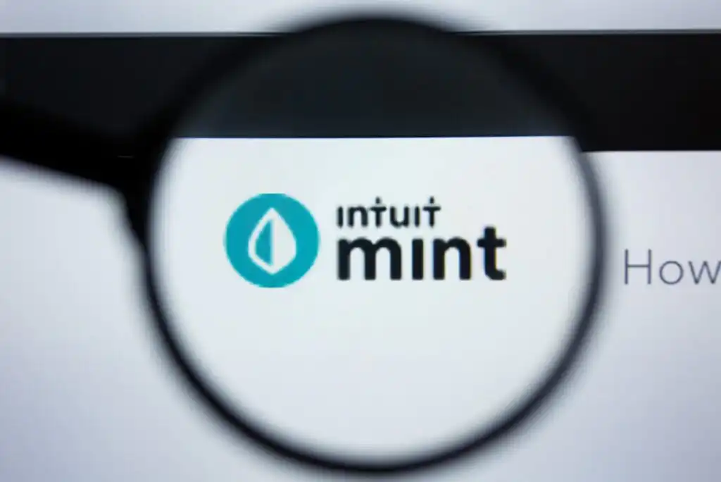 A magnifying glass focuses on the Intuit Mint logo, which features a turquoise leaf icon and the text “intuit mint” on a white background.