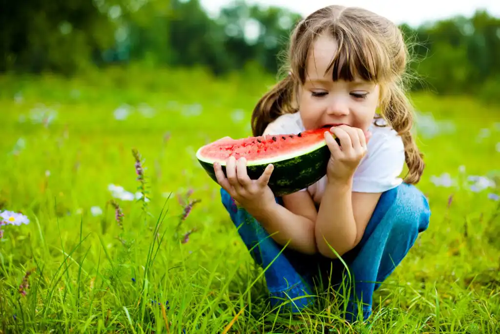 A young girl with pigtails crouches in a grassy field, holding and eating a large slice of watermelon. She is wearing a white shirt and jeans, surrounded by green grass and wildflowers.