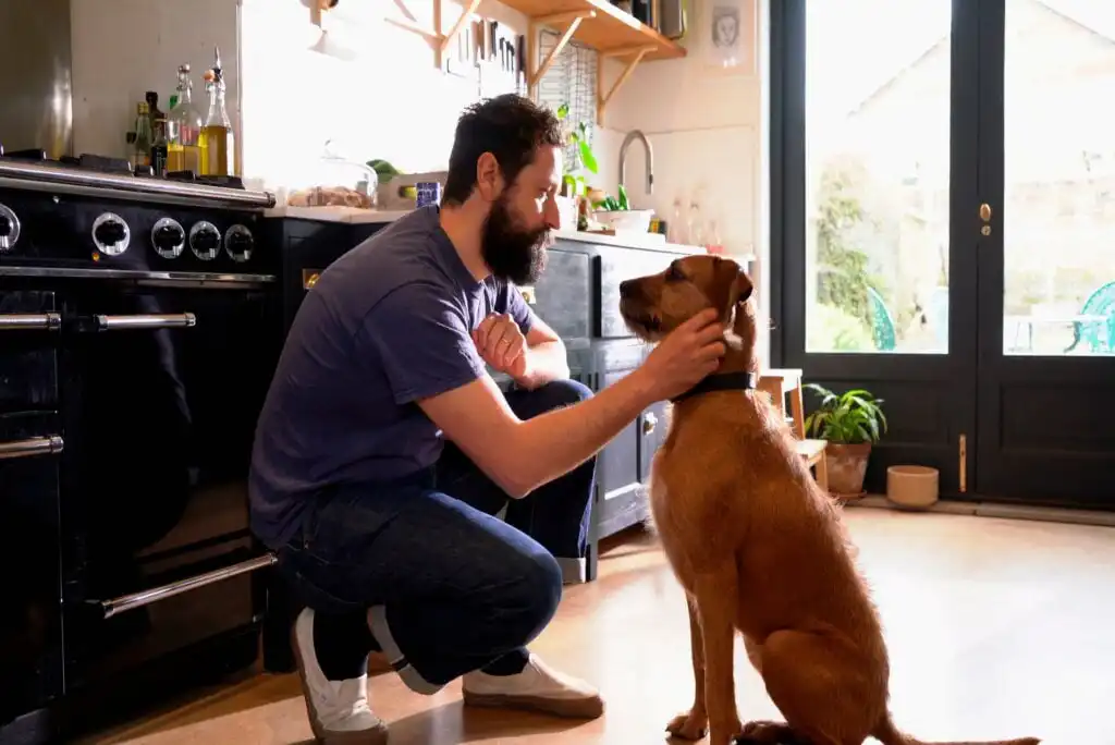 A bearded man in a blue t-shirt and jeans kneels in a kitchen, gently holding the face of a large brown dog. Sunlight streams through a window, and various plants and kitchen items are visible in the background.