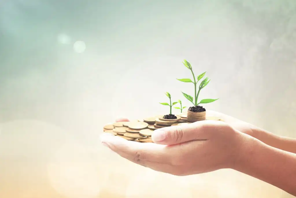 A pair of hands holds stacks of coins with small green plants growing from them, symbolizing financial growth and investment. The background is softly blurred with warm, natural colors.
