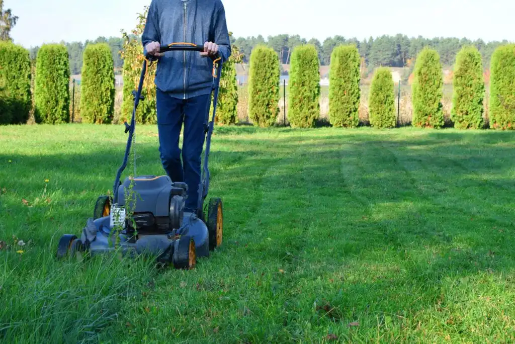 A person in a blue hoodie and jeans pushes a lawn mower across a green grassy yard with tall shrubs and trees in the background on a sunny day.