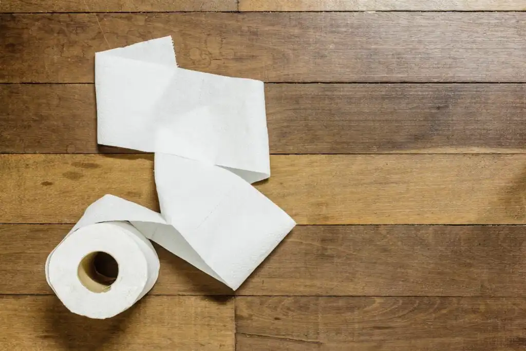 A roll of white toilet paper with several sheets unrolled sits on a wooden floor, with the paper extending across the surface.