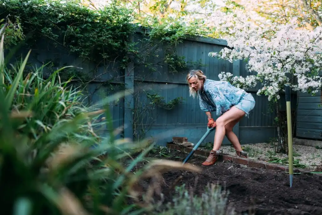 A woman in shorts and boots uses a garden spade to dig soil in a backyard garden, near a wooden fence and blooming tree, on a sunny day.